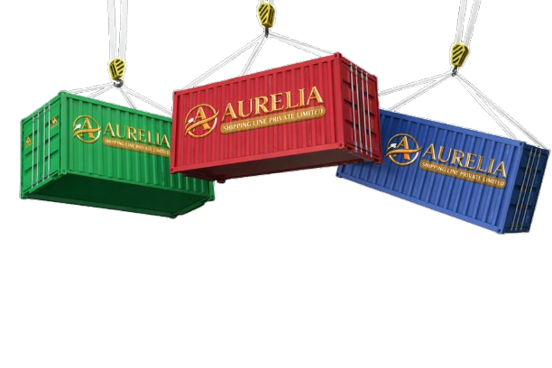 Aurelia Shipping team working environment